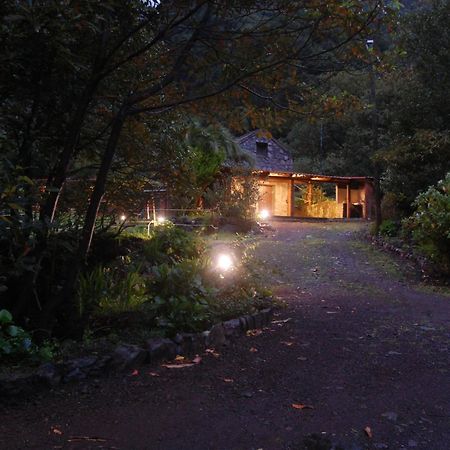Nature Retreat - Laurel Forest Seixal  Exterior foto