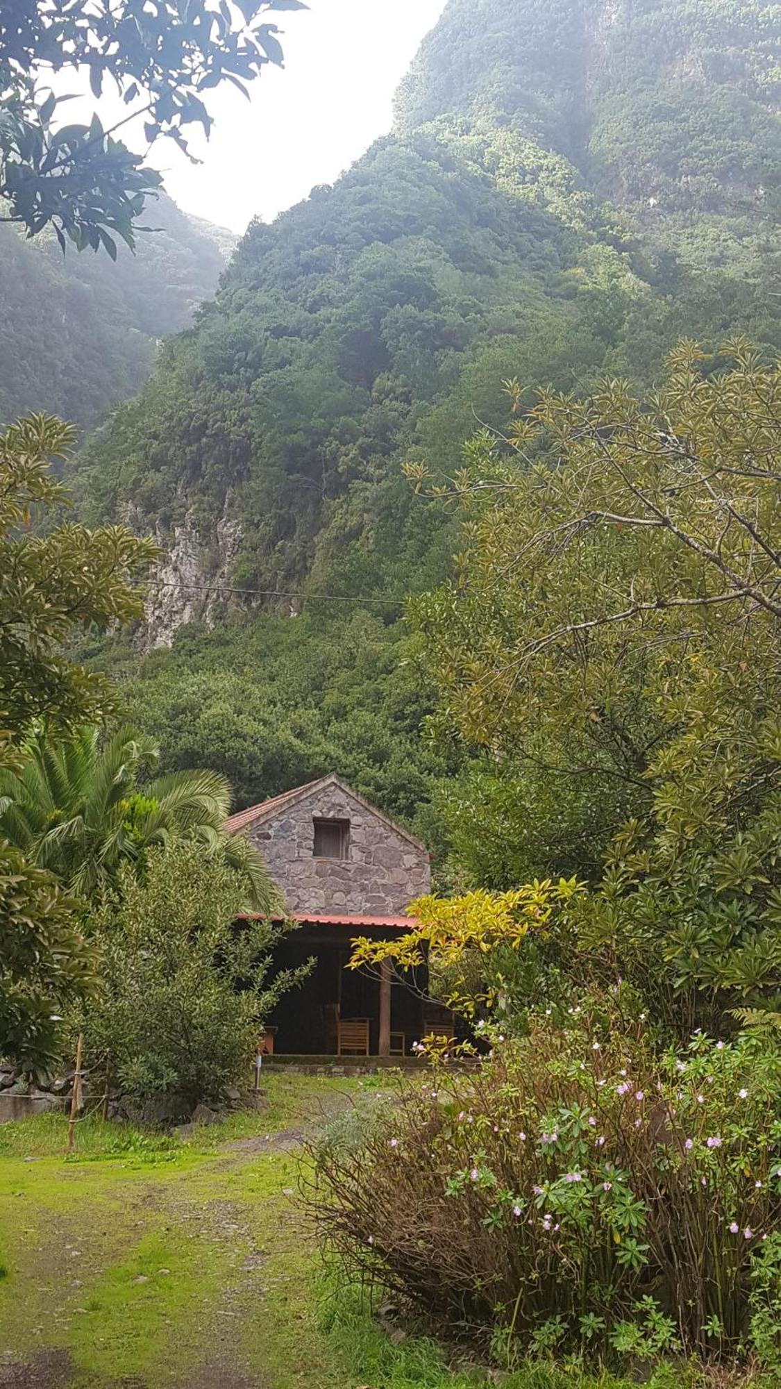 Nature Retreat - Laurel Forest Seixal  Exterior foto