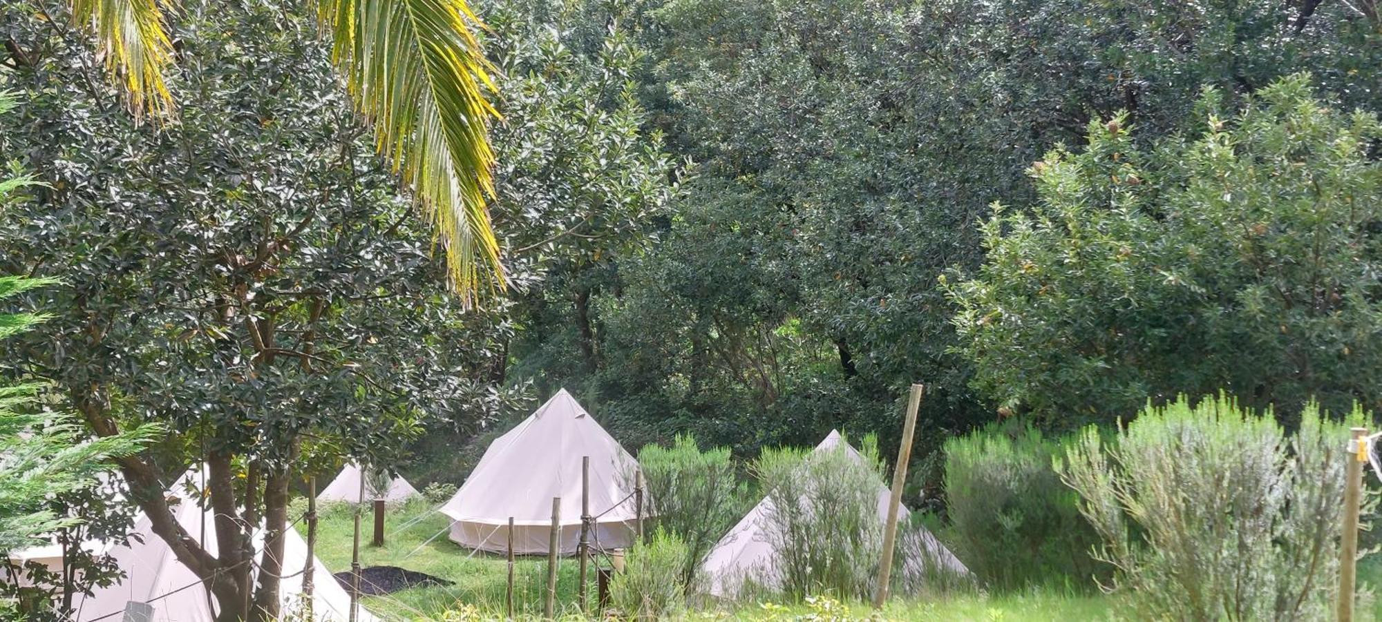 Nature Retreat - Laurel Forest Seixal  Exterior foto